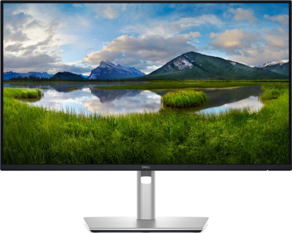 Dell Pro Plus/P2425D/23,8"/IPS/QHD/100Hz/5ms/Blck-Slvr/3R