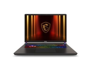 1024-5-1-1 MSI Vector/17 HX AI A2XWJG-031CZ/U9-275HX/17"/2560x1600/32GB/2TB/RTX 5090/W11H/Gray/2R