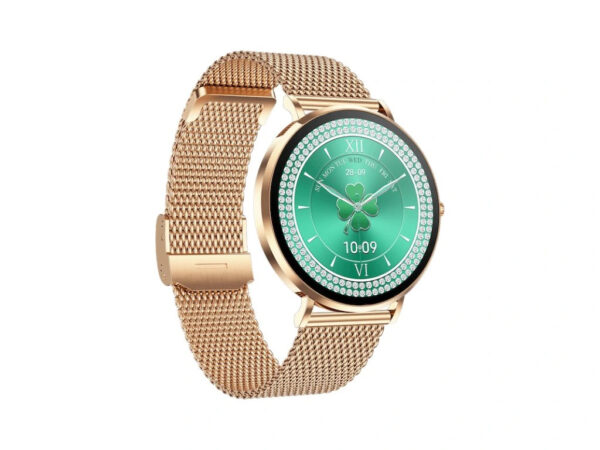 CARNEO Phoenix HR+ 2nd Gen/41mm/Gold/Elegant Band/Gold