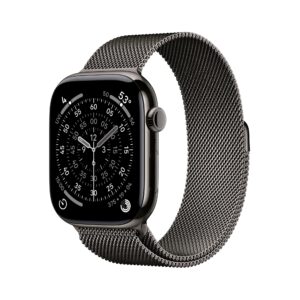 Apple Watch S11 Cell/46/Elegant Band/Slate