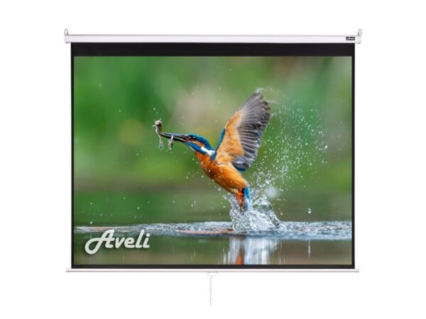 Nástěnné projekční plátno AVELI, 200x150cm (4:3) 98"