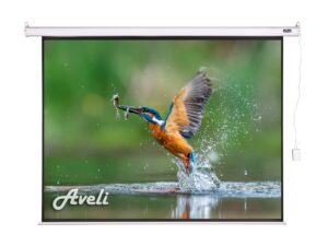 14_XRT-00177_1_s-1 Elektrické projekční plátno AVELI, 305x229 (4:3) 150"