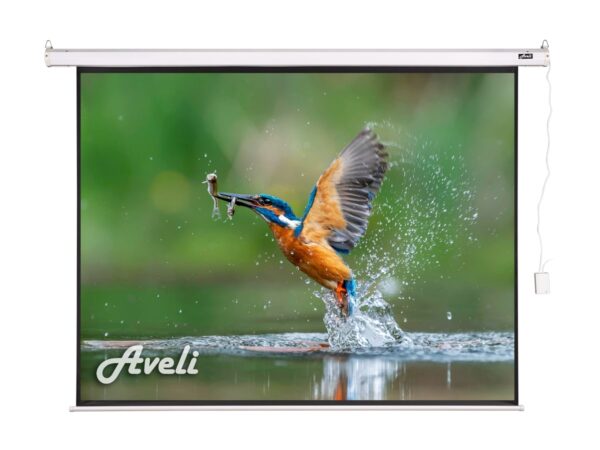 14_XRT-00178a_s-1 Elektrické projekční plátno AVELI, 366x275 (4:3) 180"