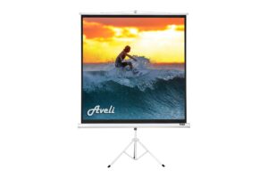 14_XRT-00184_1_s-1 Projekční plátno Aveli stativ, 213x213 (1:1) 119"