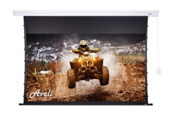 Nástěnné plátno AVELI PREMIUM,metal,265x149(16:9) 120"