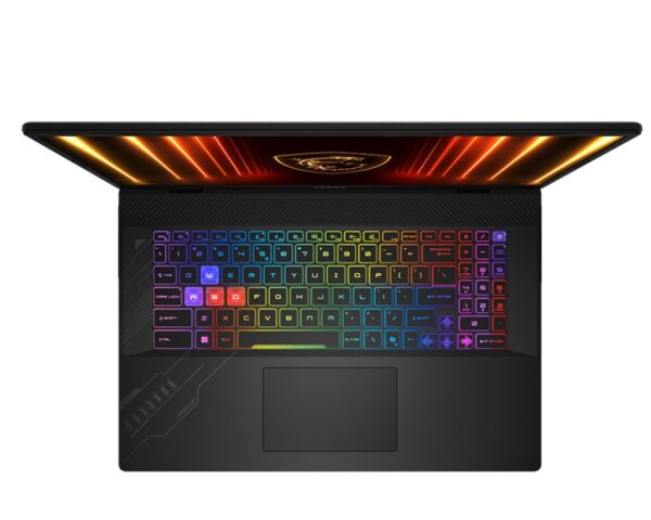 MSI Crosshair/A17 HX D8WFKG-011CZ/R9-8940HX/17"/2560x1600/32GB/1TB/RTX 5060/W11H/Gray/2R