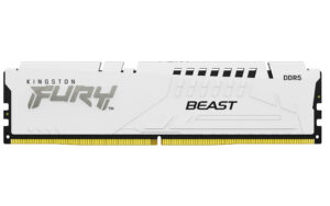 1white-5 Kingston FURY Beast EXPO/DDR5/16GB/6000MHz/CL30/1x16GB/White