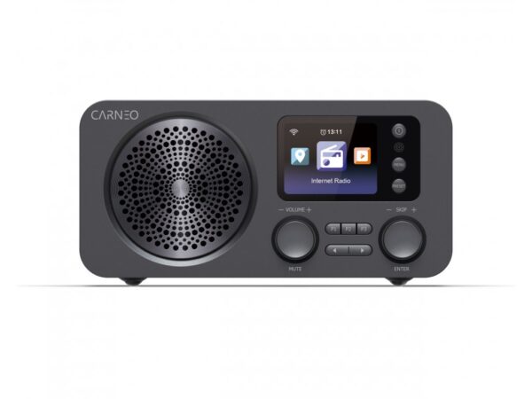 2-481 Carneo IR700/5W/Černá