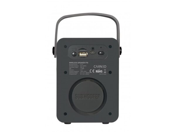 2-483 CARNEO F90 FM rádio, BT reproduktor, black/wood
