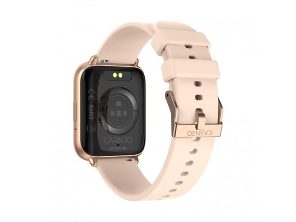 2-6224 CARNEO Artemis HR+/Gold/Elegant Band/Gold