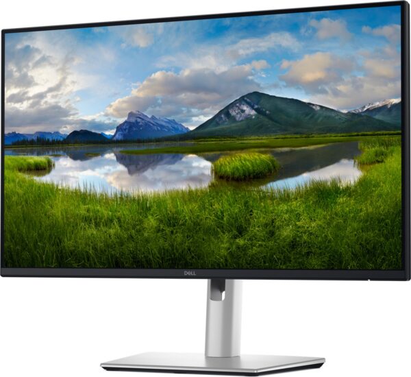 Dell Pro Plus/P2425D/23,8"/IPS/QHD/100Hz/5ms/Blck-Slvr/3R