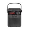 3-324 CARNEO F90 FM rádio, BT reproduktor, black/wood