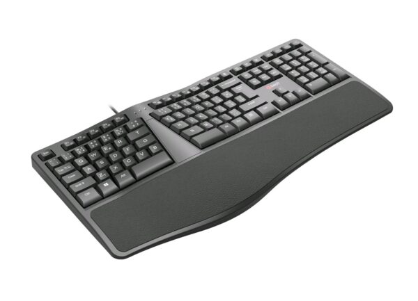 3-5455 Klávesnice C-TECH KB-113E USB, ERGO, černá, CZ/SK