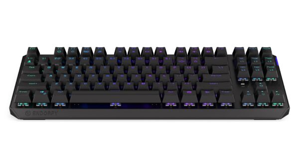 Endorfy Thock TKL Black/Drátové/Bezdrátové/US layout/Černá