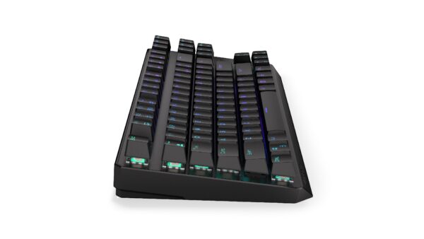 Endorfy Thock TKL Black/Drátové/Bezdrátové/US layout/Černá