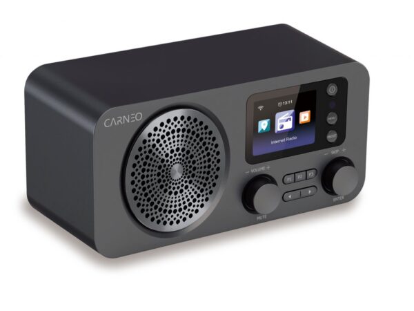 4-62 Carneo IR700/5W/Černá