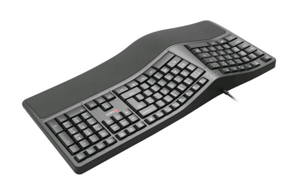 4-670 Klávesnice C-TECH KB-113E USB, ERGO, černá, CZ/SK