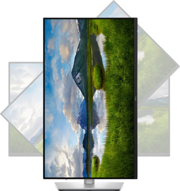 Dell Pro Plus/P2425D/23,8"/IPS/QHD/100Hz/5ms/Blck-Slvr/3R