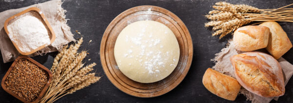 Salente DigiChef+, kuchyňský robot, mísa 6 litrů, celokovový, masomlýnek, digitální displej, bílý