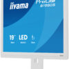 iiyama ProLite/B1980S-W1/19"/TN/1280x1024/75Hz/3ms/White/3R