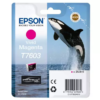 Epson T7603 Ink Cartridge Vivid Magenta