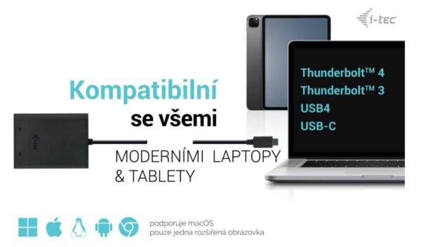 i-tec USB-C Dual 4K/60Hz (single 8K/30Hz) DP Video Adapter