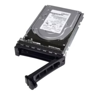 DELL-161-BCFV_s Dell/2,4TB/HDD/3.5"/SAS/10K RPM/1R