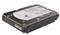 Dell/1TB/HDD/3.5"/SATA/7200 RPM/1R