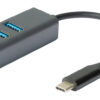 D-Link USB-C/USB to Gigabit Ethernet Adapter with 3 USB 3.0 Ports