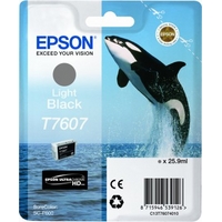 EC13T76074010_s Epson T7607 Ink Cartridge Light Black