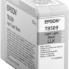 Epson Singlepack Photo Light Light Black T850900 UltraChrome HD ink 80ml