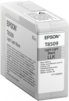 EC13T850900_s Epson Singlepack Photo Light Light Black T850900 UltraChrome HD ink 80ml