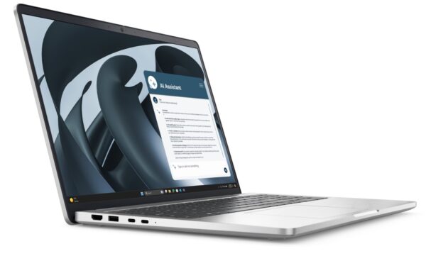 Dell Pro 16 Plus/PB16255/R5-220/16"/WUXGA/16GB/512GB/AMD int/W11P/Silver/3R NBD