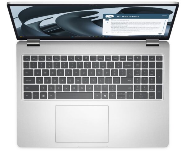 Dell Pro 16 Plus/PB16255/R5PRO-230/16"/WUXGA/16GB/512GB/AMD int/W11P/Silver/3R NBD