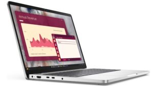 Dell Pro 14/PC14250/U7-255U/14"/WUXGA/16GB/512GB/Iris Xe/W11P/Platinum/3RNBD