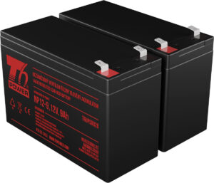T6APC0007__s_s T6 Power RBC124, RBC142, RBC177, RBC109, RBC33 - battery KIT