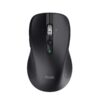 TRUST FERRO HYPERWHEEL WRLS MOUSE BLACK