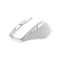 W_n TRUST NITO SILENT WIRELESS MOUSE - WHITE
