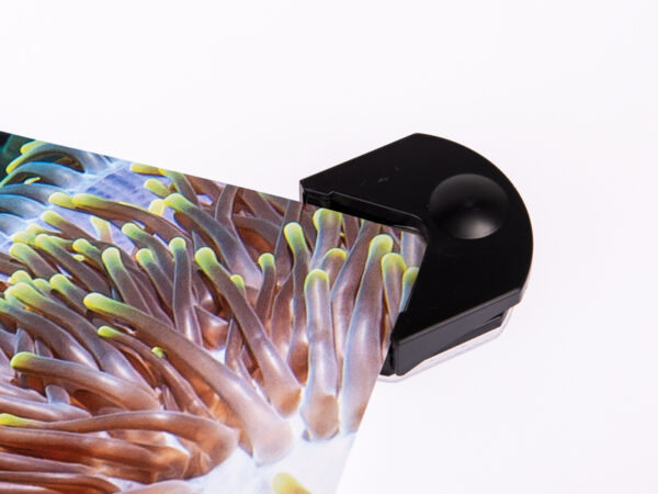 Laminátor AVELI Combi A4