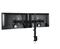 ARCTIC Z2 Basic – Dual Monitor Arm in black colour