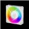 ARCTIC P12 Pro A-RGB (bílá) - 120mm A-RGB PWM ventilátor s rozdělovačem kabelů