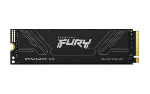 Kingston Fury Renegade G5/2TB/SSD/M.2 NVMe/Černá/Heatsink/5R