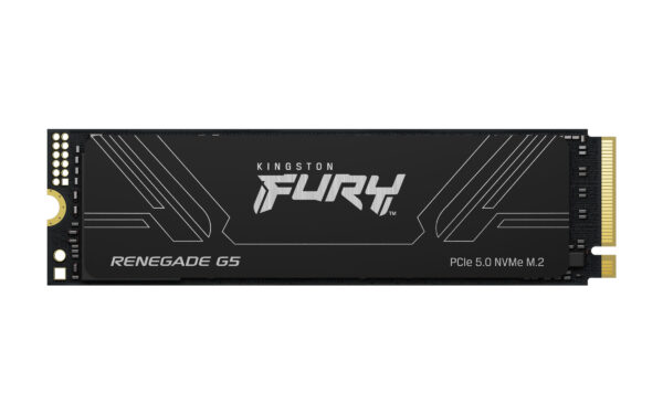 Kingston Fury Renegade G5/4TB/SSD/M.2 NVMe/Černá/Heatsink/5R