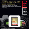 SanDisk Extreme PLUS/SDXC/256GB/UHS-I U3 / Class 10