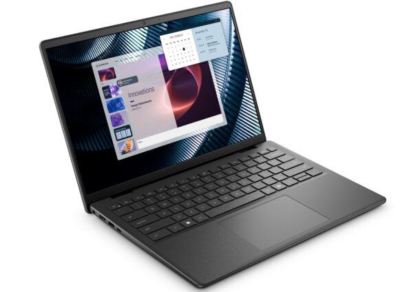 Dell Pro 14 Essential/PV14255/R7-250/14"/WUXGA/16GB/512GB/AMD int/W11P/Black/3R NBD