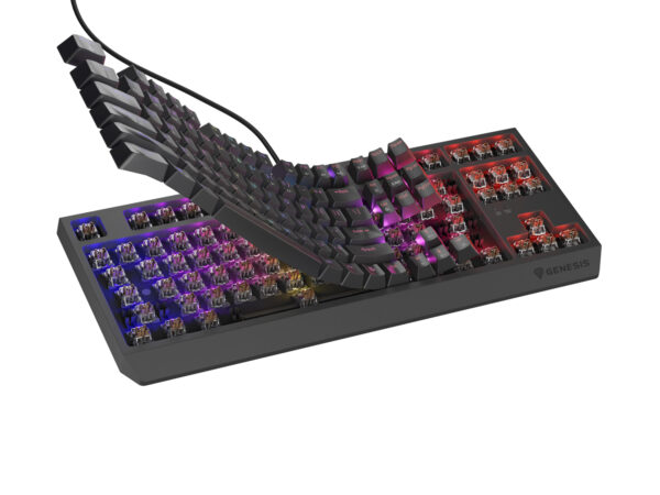 render-klawiatura-thor-230_NKG-2079-_3b Genesis herní klávesnice THOR 230/TKL/RGB/Outemu Brown/Drátová USB/US layout/Černá