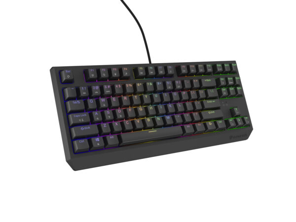 render-klawiatura-thor-230_NKG-2079_13 Genesis herní klávesnice THOR 230/TKL/RGB/Outemu Brown/Drátová USB/US layout/Černá