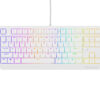 Genesis herní klávesnice THOR 230/TKL/RGB/Outemu Brown/Drátová USB/US layout/Bílá