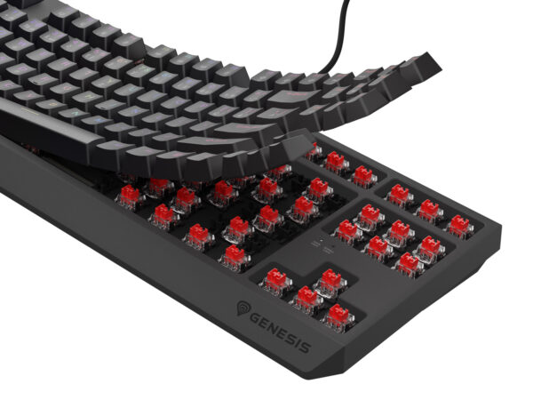render-klawiatura-thor-230_NKG-2209_12 Herní klávesnice Genesis THOR 230/TKL/RGB/Outemu Red/Drátové USB-A/CZ-SK layout/Černá