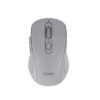 wlm12-1_s Myš C-TECH WLM-12, BT5.0 + 2,4GHz, šedá